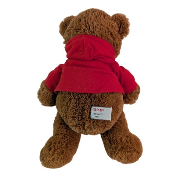 Gund Could You Use A Hug Brown Teddy Bear Plush #16999 Red Hoody 12" Stuffed Toy - Picture 4 of 6